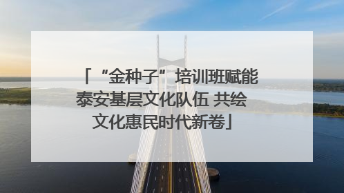 “金种子”培训班赋能泰安基层文化队伍 共绘文化惠民时代新卷