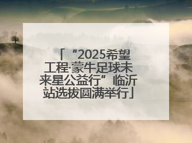 “2025希望工程·蒙牛足球未来星公益行”临沂站选拔圆满举行