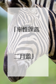 率性蓬蒿二月蓝