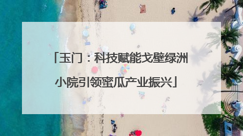 玉门：科技赋能戈壁绿洲 小院引领蜜瓜产业振兴