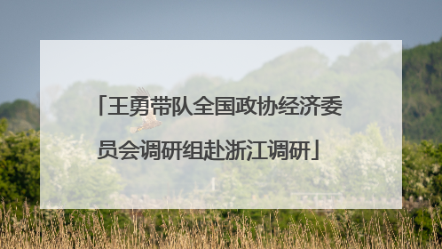 王勇带队全国政协经济委员会调研组赴浙江调研