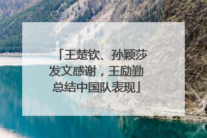 王楚钦、孙颖莎发文感谢，王励勤总结中国队表现
