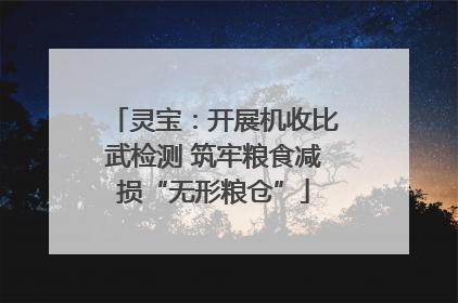 灵宝：开展机收比武检测 筑牢粮食减损“无形粮仓”