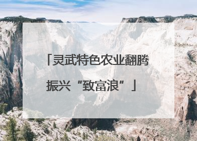 灵武特色农业翻腾振兴“致富浪”