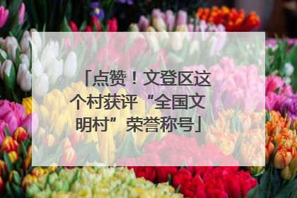 点赞！文登区这个村获评“全国文明村”荣誉称号