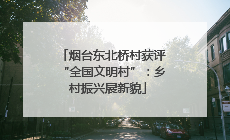 烟台东北桥村获评“全国文明村”：乡村振兴展新貌