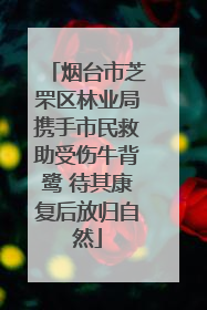 烟台市芝罘区林业局携手市民救助受伤牛背鹭 待其康复后放归自然
