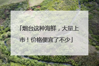 烟台这种海鲜，大量上市！价格便宜了不少