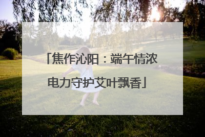 焦作沁阳：端午情浓 电力守护艾叶飘香