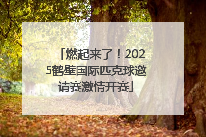 燃起来了！2025鹤壁国际匹克球邀请赛激情开赛