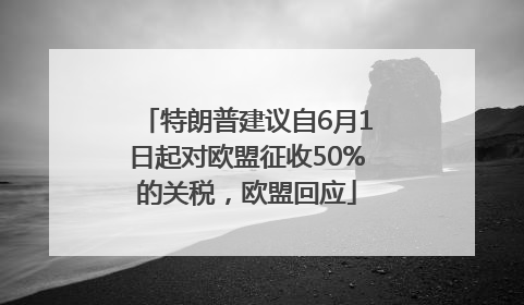 特朗普建议自6月1日起对欧盟征收50%的关税，欧盟回应