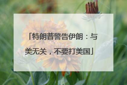特朗普警告伊朗：与美无关，不要打美国
