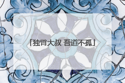 独臂大叔 吾道不孤