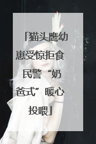 猫头鹰幼崽受惊拒食 民警“奶爸式”暖心投喂