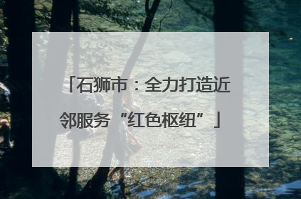 石狮市：全力打造近邻服务“红色枢纽”