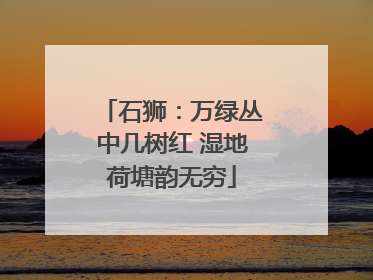 石狮：万绿丛中几树红 湿地荷塘韵无穷