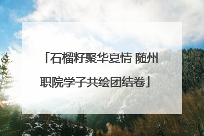 石榴籽聚华夏情 随州职院学子共绘团结卷