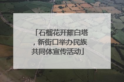 石榴花开耀白塔，新街口举办民族共同体宣传活动