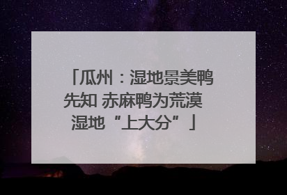 瓜州：湿地景美鸭先知 赤麻鸭为荒漠湿地“上大分”