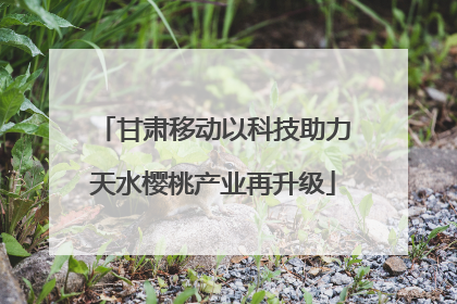 甘肃移动以科技助力天水樱桃产业再升级