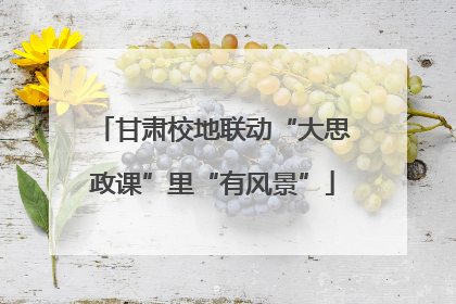 甘肃校地联动“大思政课”里“有风景”