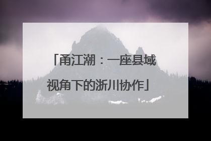 甬江潮：一座县域视角下的浙川协作