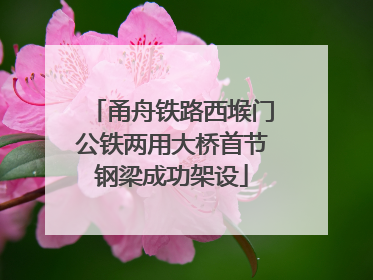 甬舟铁路西堠门公铁两用大桥首节钢梁成功架设