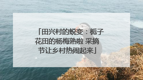 田兴村的蜕变：栀子花田的杨梅熟啦 采摘节让乡村热闹起来