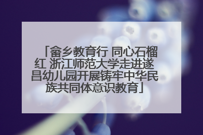 畲乡教育行 同心石榴红 浙江师范大学走进遂昌幼儿园开展铸牢中华民族共同体意识教育