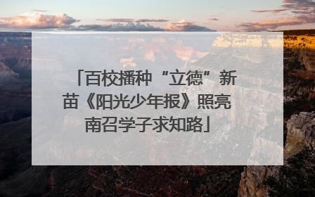 百校播种“立德”新苗《阳光少年报》照亮南召学子求知路