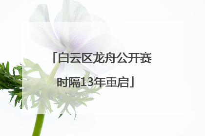 白云区龙舟公开赛时隔13年重启