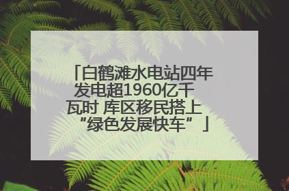 白鹤滩水电站四年发电超1960亿千瓦时 库区移民搭上“绿色发展快车”