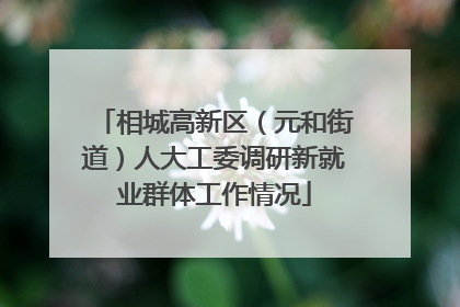 相城高新区（元和街道）人大工委调研新就业群体工作情况