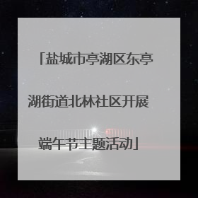 盐城市亭湖区东亭湖街道北林社区开展端午节主题活动