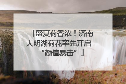 盛夏荷香浓！济南大明湖荷花率先开启“颜值暴击”