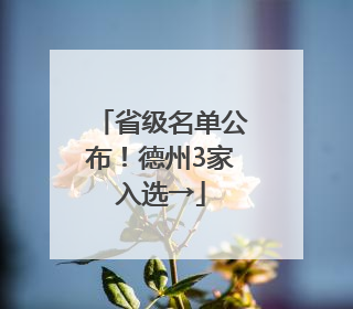 省级名单公布！德州3家入选→