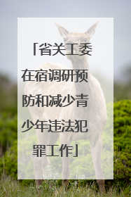 省关工委在宿调研预防和减少青少年违法犯罪工作