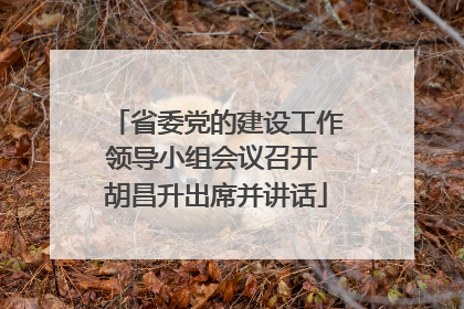 省委党的建设工作领导小组会议召开 胡昌升出席并讲话
