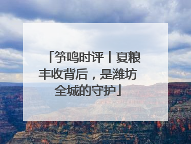 筝鸣时评丨夏粮丰收背后，是潍坊全城的守护