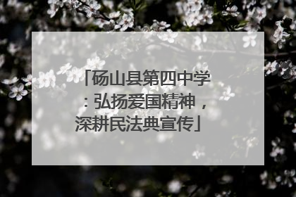 砀山县第四中学：弘扬爱国精神，深耕民法典宣传