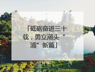 砥砺奋进三十载，勇立潮头“浦”新篇