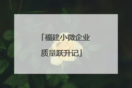 福建小微企业质量跃升记