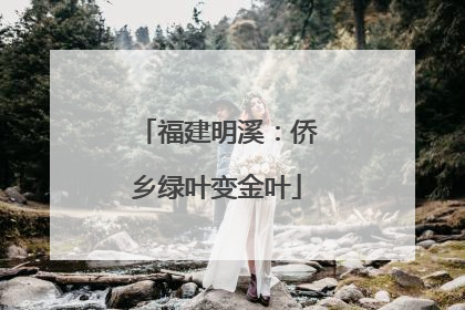 福建明溪：侨乡绿叶变金叶