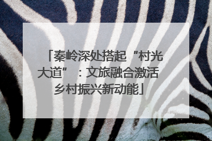 秦岭深处搭起“村光大道”：文旅融合激活乡村振兴新动能
