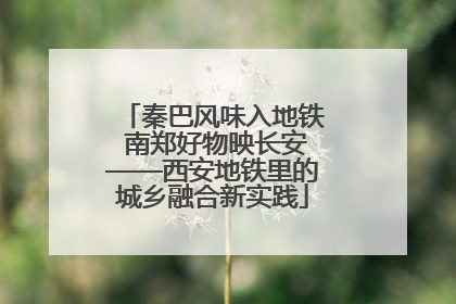 秦巴风味入地铁 南郑好物映长安——西安地铁里的城乡融合新实践