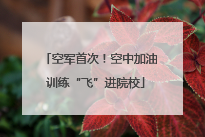 空军首次！空中加油训练“飞”进院校