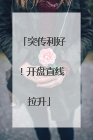 突传利好！开盘直线拉升
