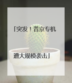 突发！普京专机遭大规模袭击