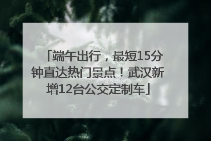 端午出行，最短15分钟直达热门景点！武汉新增12台公交定制车