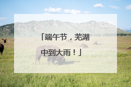 端午节，芜湖中到大雨！